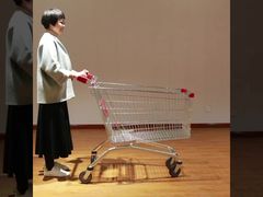 Carrinho de compras europeias